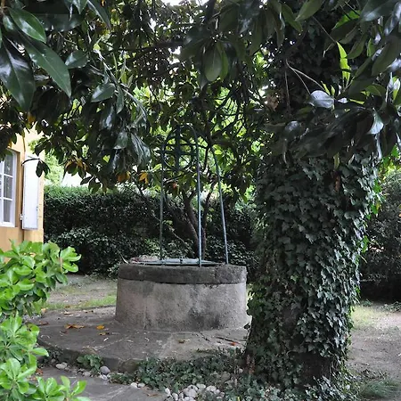 Suite45 Trieste