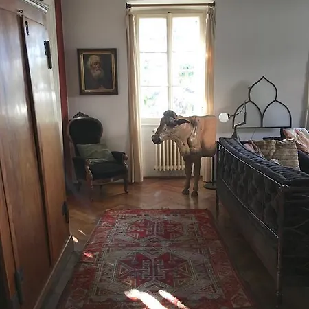 Suite45 Bed & Breakfast Trieste